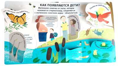 40 окошек. Откуда берутся дети. Самые первые вопросы и ответы, производитель Робинс , ISBN 978-5-43660-523-4№ 3