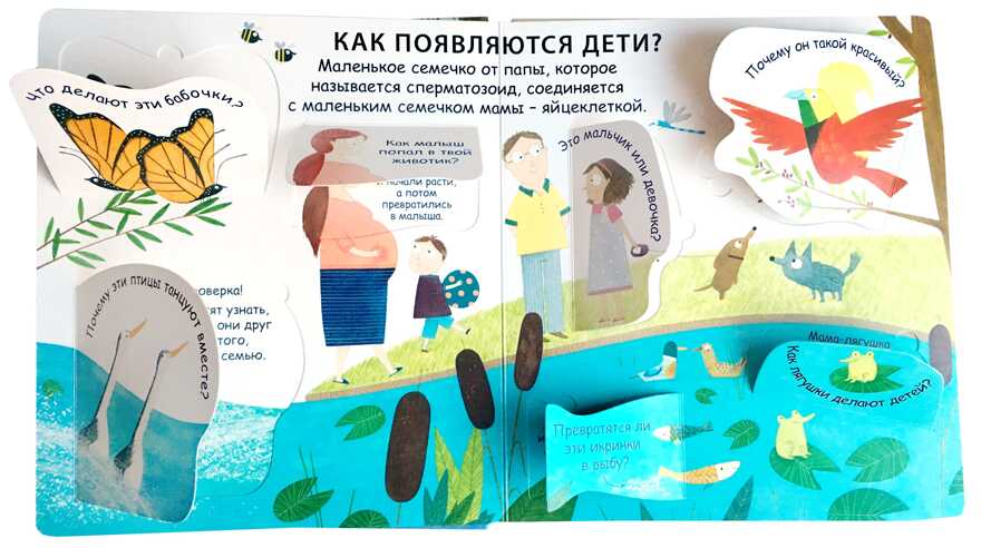 40 окошек. Откуда берутся дети. Самые первые вопросы и ответы, производитель Робинс , ISBN 978-5-43660-523-4, № 3