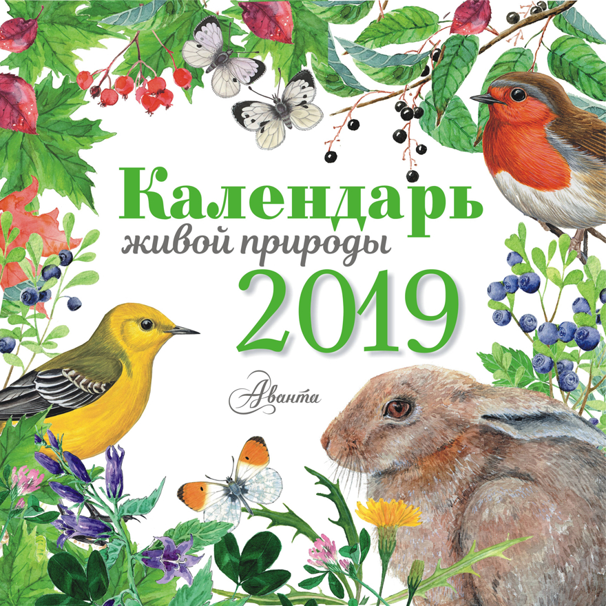 Календарь живой природы. Календарь детский 2019, производитель АСТ , ISBN 978-5-17109-529-1, № 1