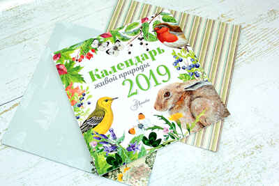 Календарь живой природы. Календарь детский 2019, производитель АСТ , ISBN 978-5-17109-529-1№ 2