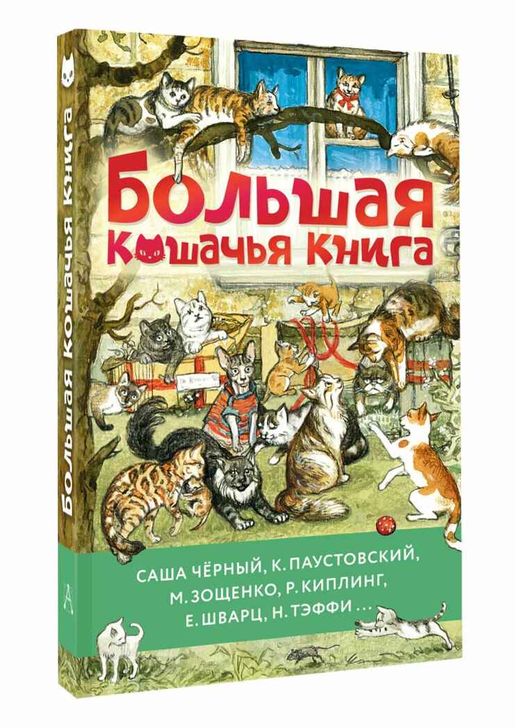 Большая кошачья книга, производитель АСТ , ISBN 978-5-17164-696-7, № 2