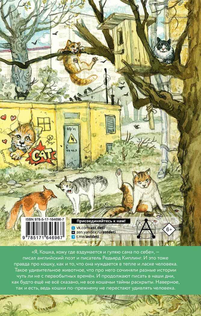 Большая кошачья книга, производитель АСТ , ISBN 978-5-17164-696-7, № 3