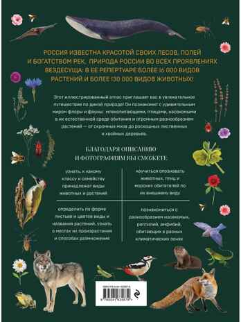 Атлас живой природы России. Полный иллюстрированный справочник, производитель Эксмо , ISBN 978-5-04163-587-9№ 3