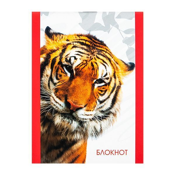 Блокнот АССОРТИ А6 на скрепке, 32 листа, арт. С100, производитель Апплика, ISBN 467-0-02643-055-4, № 6