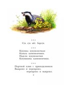 Русские скороговорки, пословицы, считалки, загадки, производитель АСТ , ISBN 978-5-17164-678-3, № 9