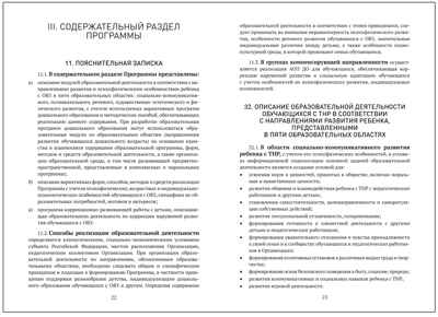 Федеральная адаптированная образовательная программа дошкольного образования для обучающихся с тяжелыми нарушениями речи, производитель МОЗАИКА-СИНТЕЗ , ISBN 978-5-43154-514-6 № 3