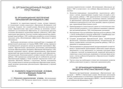 Федеральная адаптированная образовательная программа дошкольного образования для обучающихся с тяжелыми нарушениями речи, производитель МОЗАИКА-СИНТЕЗ , ISBN 978-5-43154-514-6 № 4