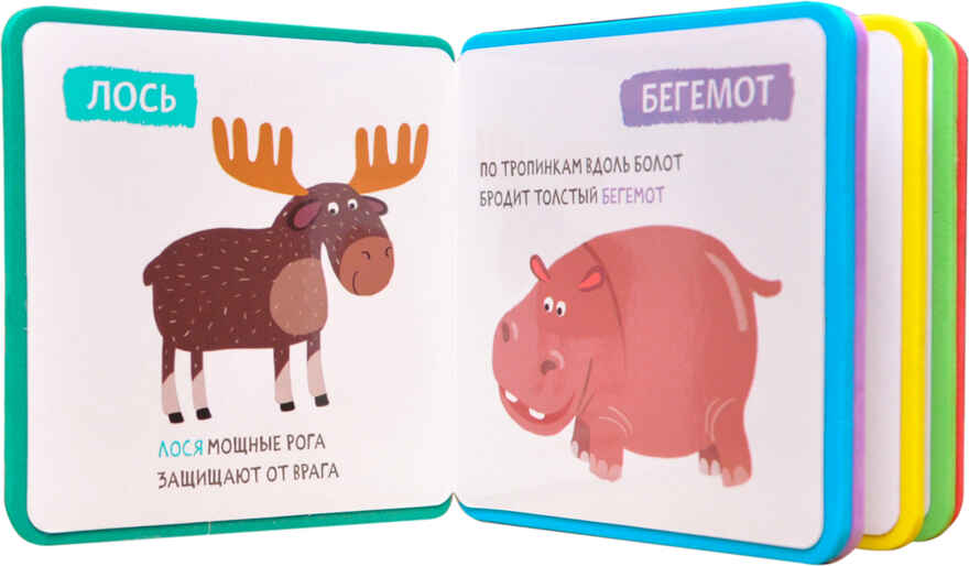 Попугай (Разноцветный зоопарк), книжка-игрушка на пене EVA, производитель МОЗАИКА kids , ISBN 978-5-43151-143-1, № 2
