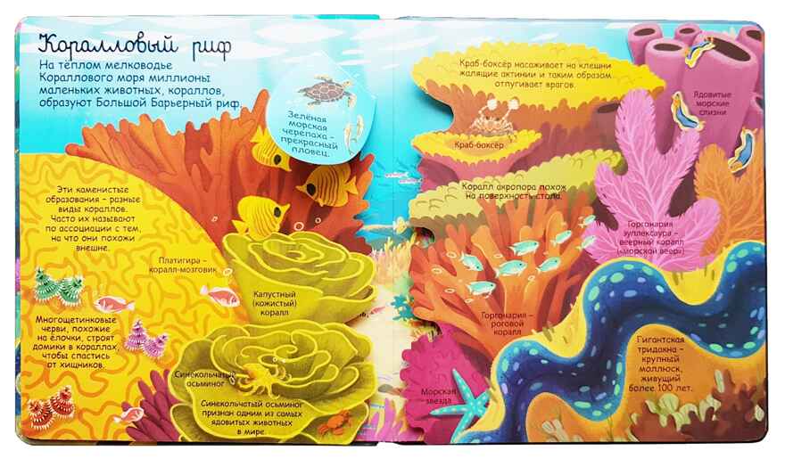 Секреты морей и океанов. Волшебные створки, производитель Робинс , ISBN 978-5-43660-551-7, № 2