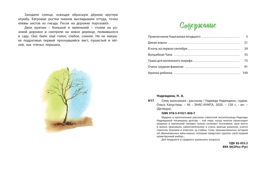 Семь мальчишек: рассказы. Надеждина Н.А. Детвора, производитель ЭНАС-КНИГА , ISBN 978-5-91921-806-7, № 7