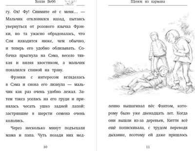 Щенок из кармана (выпуск 7). Вебб Х. Детск. Холли Вебб. Счастливые истории о верности и дружбе, производитель Эксмо , ISBN 978-5-04105-957-6№ 3