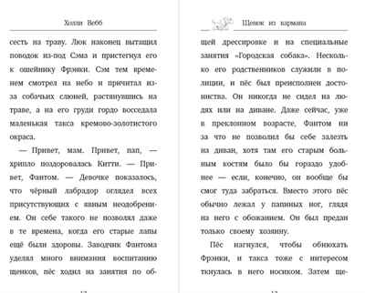 Щенок из кармана (выпуск 7). Вебб Х. Детск. Холли Вебб. Счастливые истории о верности и дружбе, производитель Эксмо , ISBN 978-5-04105-957-6№ 4