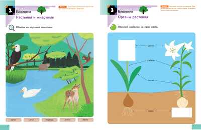Kumon. Наука. Уровень 2, производитель Манн, Иванов и Фербер , ISBN 978-5-00169-182-2№ 2