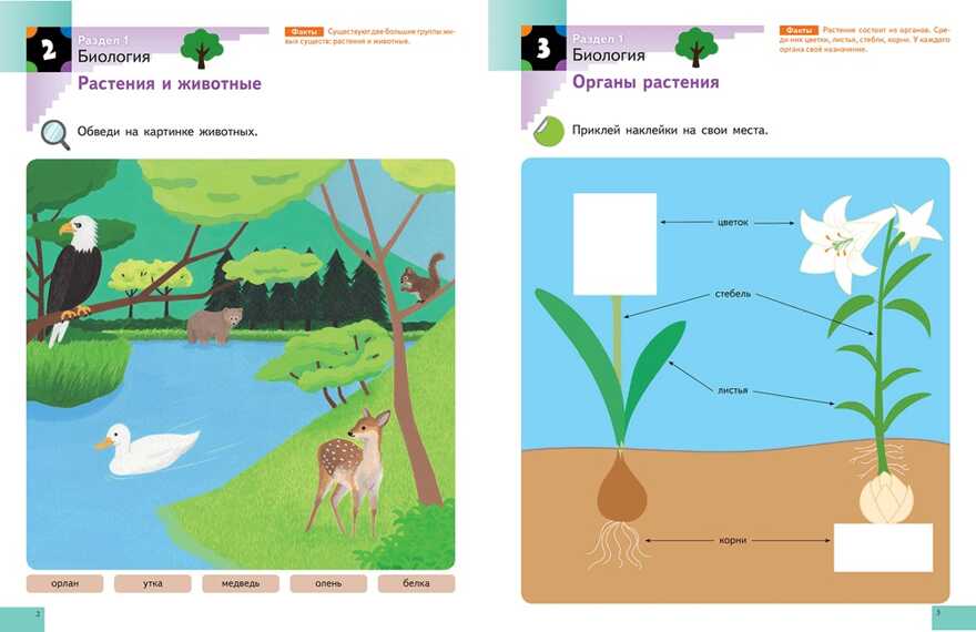 Kumon. Наука. Уровень 2, производитель Манн, Иванов и Фербер , ISBN 978-5-00169-182-2, № 2