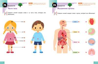 Kumon. Наука. Уровень 2, производитель Манн, Иванов и Фербер , ISBN 978-5-00169-182-2№ 3