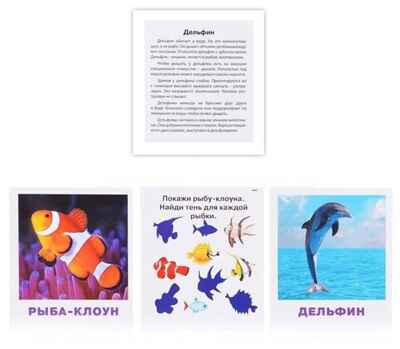 Умный малыш. Обитатели морей и океанов. IQ малыш, производитель Айрис-пресс , ISBN 978-5-81126-490-2№ 2