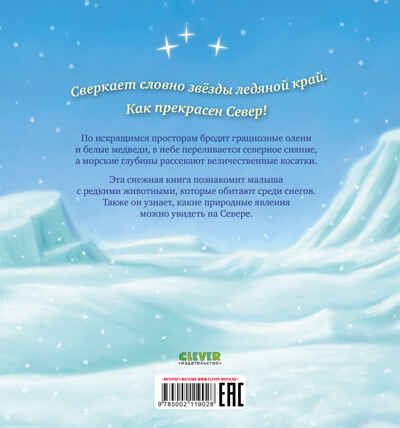 Книжки-картинки. В стране снежных чудес/Фридман К., производитель Клевер (Clever) , ISBN 978-5-00211-902-8№ 7