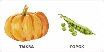 Книжки-картонки. Овощи. Моя самая первая книжка, производитель Робинс , ISBN 978-5-43660-754-2№ 2
