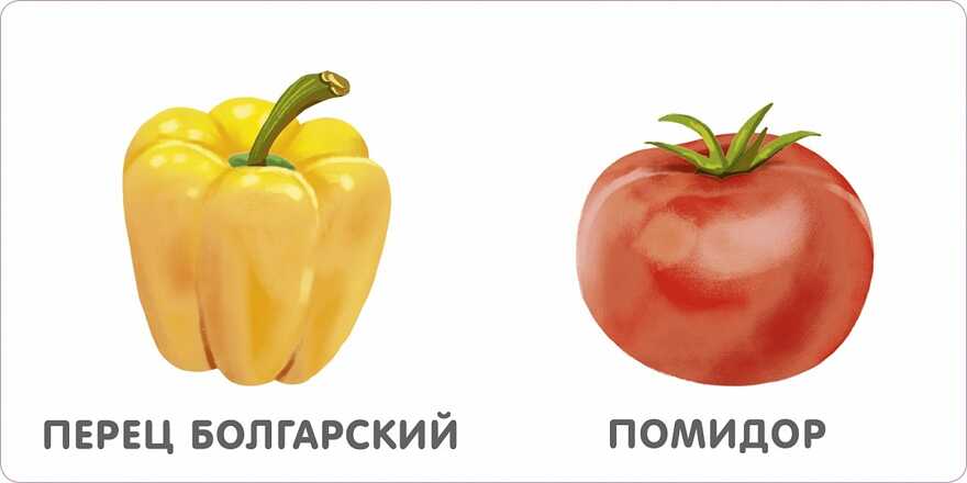 Книжки-картонки. Овощи. Моя самая первая книжка, производитель Робинс , ISBN 978-5-43660-754-2, № 3