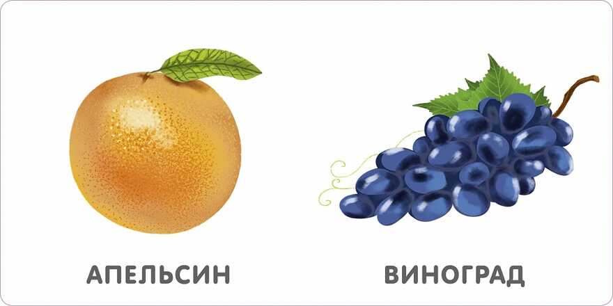 Книжки-картонки. Фрукты и ягоды. Моя самая первая книжка, производитель Робинс , ISBN 978-5-43660-755-9, № 3