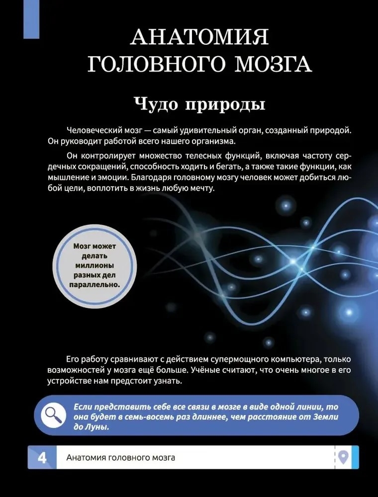 Мозг человека. Самая умная энциклопедия., производитель Феникс ТД, ISBN 978-5-22245-145-8, № 3