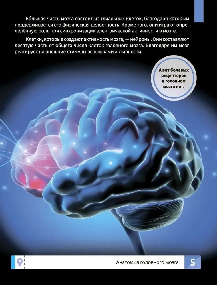 Мозг человека. Самая умная энциклопедия., производитель Феникс ТД, ISBN 978-5-22245-145-8, № 4