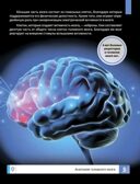 Мозг человека. Самая умная энциклопедия., производитель Феникс ТД, ISBN 978-5-22245-145-8, № 4