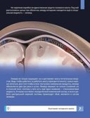 Мозг человека. Самая умная энциклопедия., производитель Феникс ТД, ISBN 978-5-22245-145-8, № 6