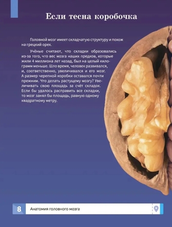 Мозг человека. Самая умная энциклопедия., производитель Феникс ТД, ISBN 978-5-22245-145-8№ 7
