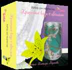 Красочные вазы с цветами, арт. 2024, производитель SANTA LUCIA (САНТА ЛЮЧИЯ), ISBN 462-3-72136-790-8, № 1