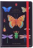 Точкабук с холодным тиснением. Насекомые., производитель Проф-Пресс , ISBN 468-0-08848-579-9, № 3