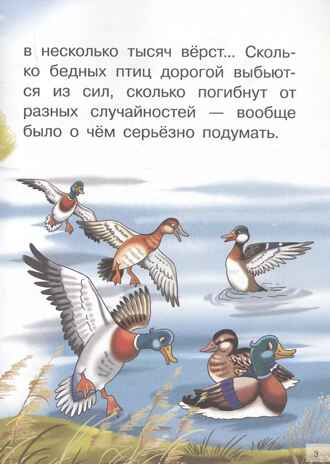 Серая шейка. Мамин-Сибиряк Д. Н. Для самостоятельного чтения, производитель Литур , ISBN 978-5-97801-198-2№ 3