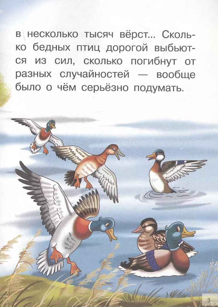 Серая шейка. Мамин-Сибиряк Д. Н. Для самостоятельного чтения, производитель Литур , ISBN 978-5-97801-198-2, № 3
