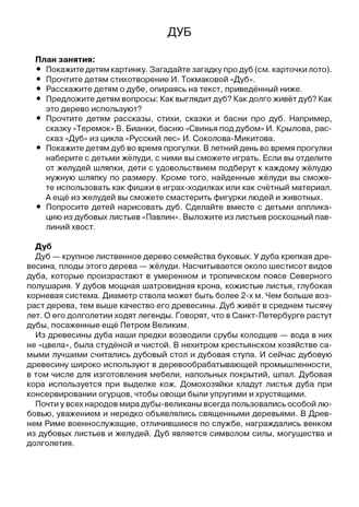 Деревья. Наглядно-дидактический материал в папках ФГОС, производитель Стрекоза , ISBN 978-5-99515-440-2№ 4