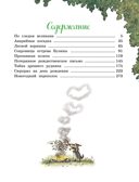 Большая книга Волшебного леса. Все приключения в одном томе с цветными иллюстрациями, производитель Махаон , ISBN 978-5-38925-693-4, № 2