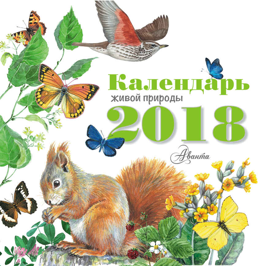 Календарь живой природы. Воробьев А.Г., Крускоп С.В. Календарь детский 2018, производитель АСТ , ISBN 978-5-17104-129-8, № 1