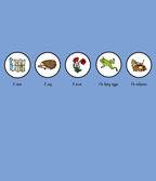 На природе. Найди и покажи 176, производитель Клевер (Clever) , ISBN 978-5-91982-417-6, № 2