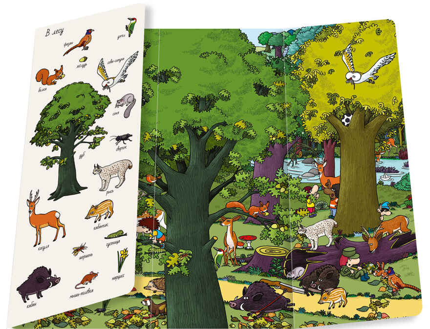 На природе. Найди и покажи 176, производитель Клевер (Clever) , ISBN 978-5-91982-417-6, № 4