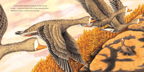 Осень гусенка. Вуллард Э., производитель Нигма, ISBN 978-5-43350-891-0, № 9