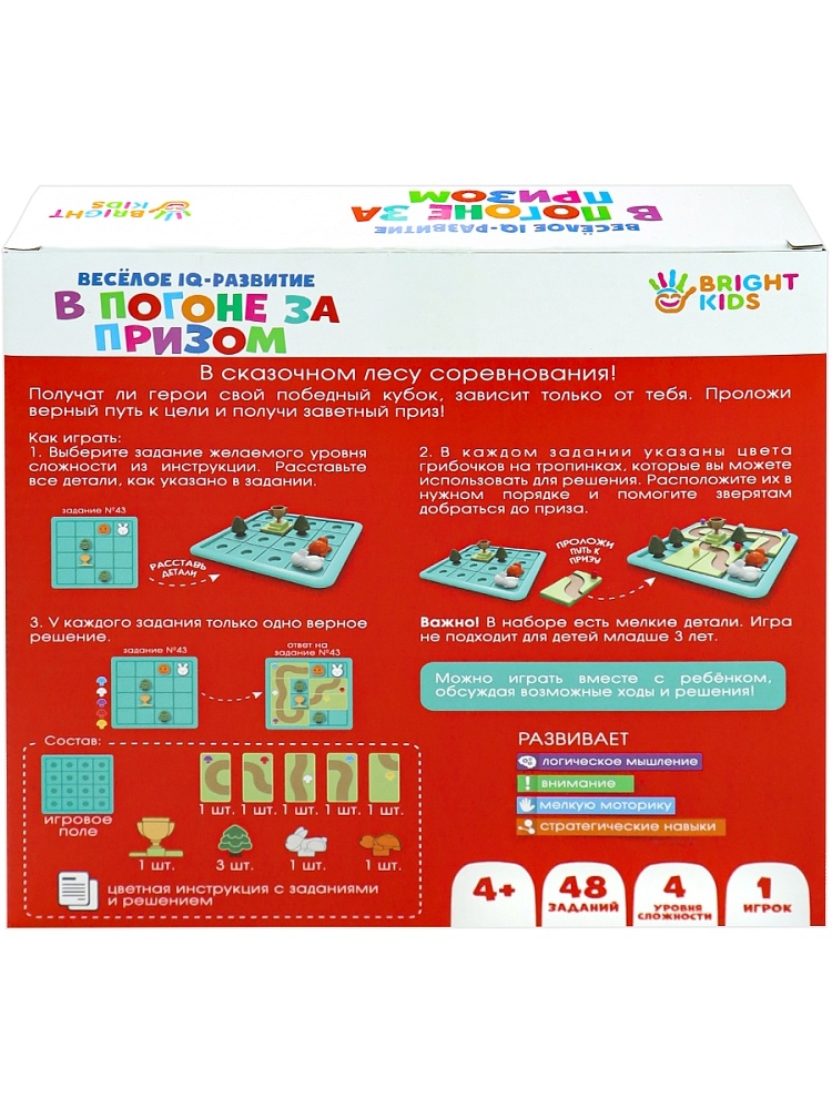 Головоломка В погоне за призом, арт. ИК-8714, производитель Рыжий кот, ISBN 462-0-12978-714-7, № 3