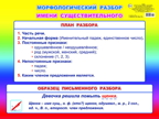 Морфологический разбор имени существительного. Плакаты на картоне, производитель Слово , № 1