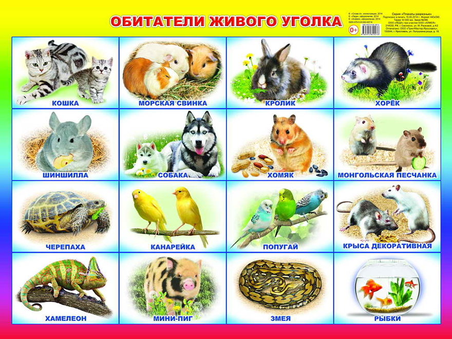 Обитатели живого уголка. Плакаты на картоне, производитель Слово , ISBN 978-5-91282-007-6, № 1