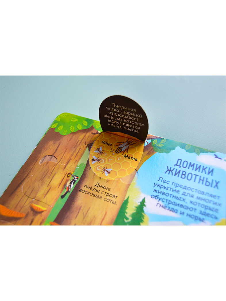 Секреты леса. Волшебные створки, производитель Робинс , ISBN 978-5-43660-747-4, № 3