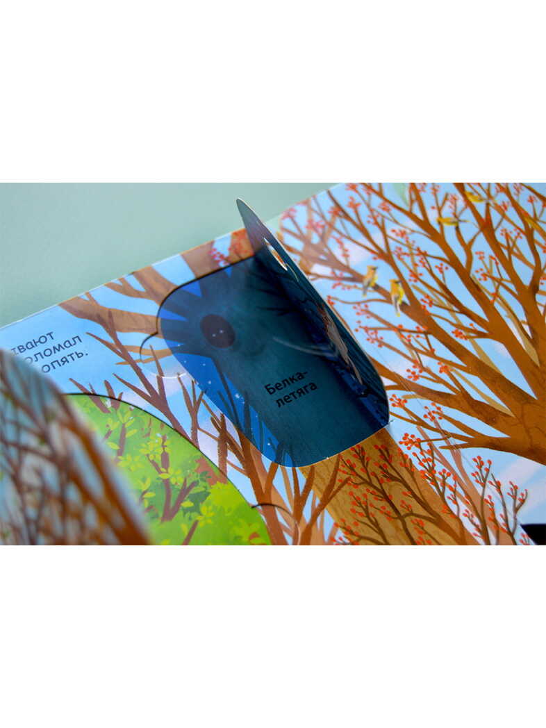 Секреты леса. Волшебные створки, производитель Робинс , ISBN 978-5-43660-747-4, № 6