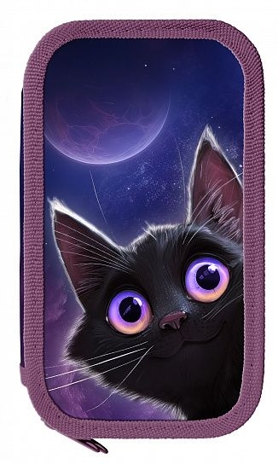 Пенал двухсекционный Игривый космокотик 190х105х35 мм., арт. ПК2-ИКК, производитель ФАРМ, ISBN 460-2-72319-171-1№ 1
