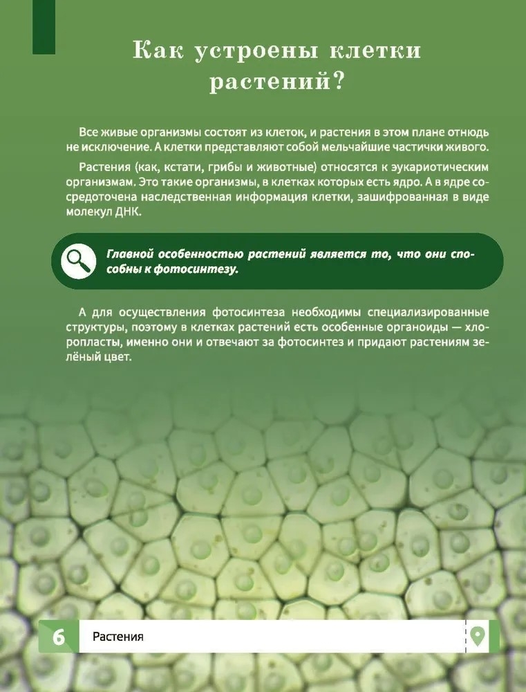 Растения. Самая умная энциклопедия., производитель Феникс ТД, ISBN 978-5-22240-466-9, № 4