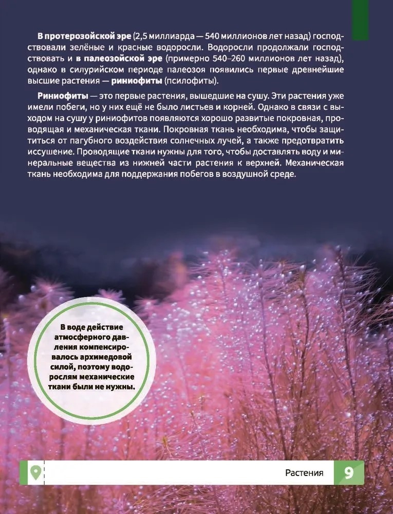 Растения. Самая умная энциклопедия., производитель Феникс ТД, ISBN 978-5-22240-466-9, № 6