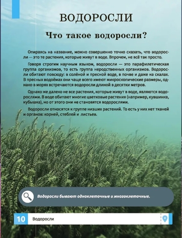 Растения. Самая умная энциклопедия., производитель Феникс ТД, ISBN 978-5-22240-466-9№ 7