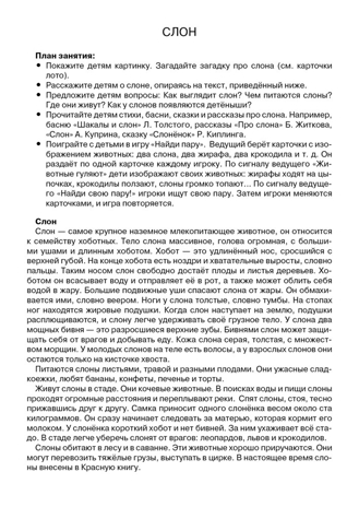 Животные Африки. Наглядно-дидактический материал в папках ФГОС, производитель Стрекоза , ISBN 978-5-99515-444-0№ 4