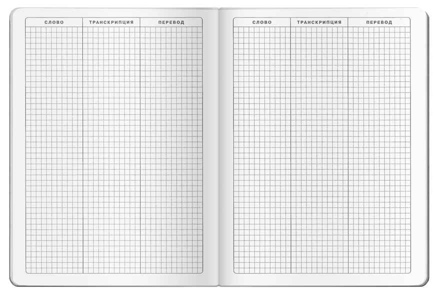 Тетрадь для записи английских слов (Ленивец), производитель Айрис-пресс , ISBN 978-5-81126-735-4, № 5